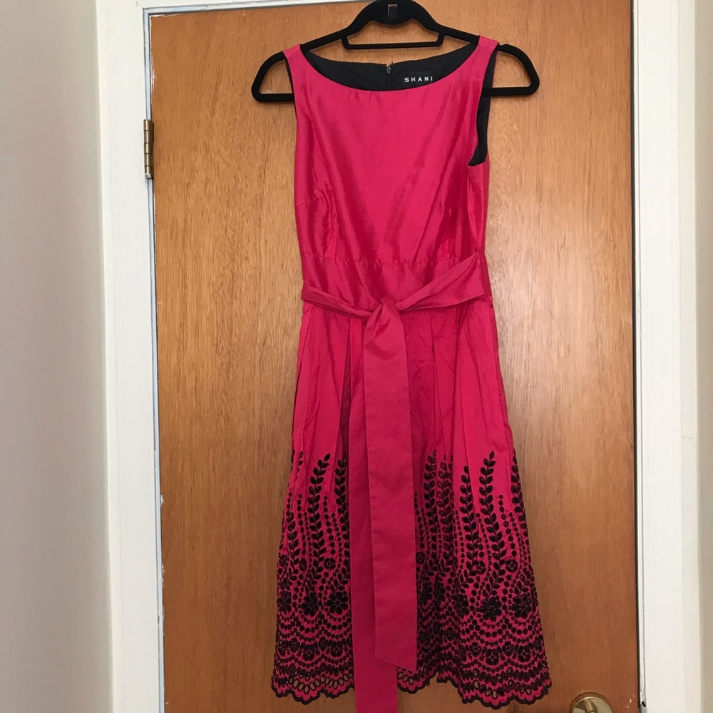 Shani Raw Silk Dress Size 4
